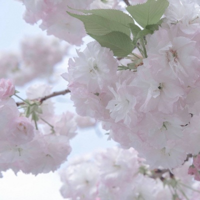 兰考FurryQQ群介绍